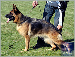 Cambera Ciss du Val d'Anzin