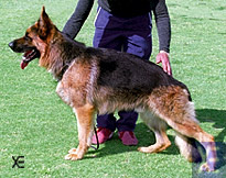 Campe&oacute;n de Naza Bich