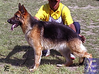 Cera de Camojan