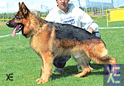 Corradino v. Isidora