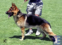 Dereck de Castelldefels