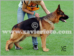 Digger v. Elzmundungsraum