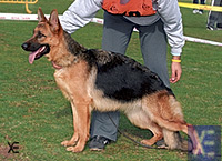 Dunia de Bahia de Ak&ccedil;aabal