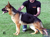Emmi v. Grabeldgau