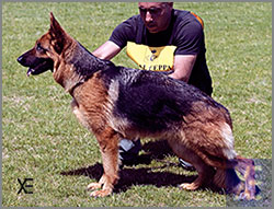 Emmi v. Grabfeldgau