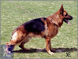 Lincon de Villalazan