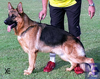 Lincon de Villalazan