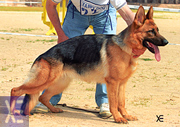 Peguy de Son Rapinya