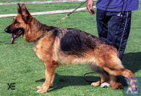 Vanta de el Casar