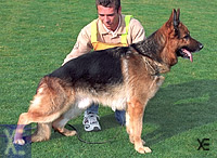 Vitali aus Wattenscheid